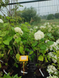 58a75177-40a4-49dd-acd7-77fd4ec7